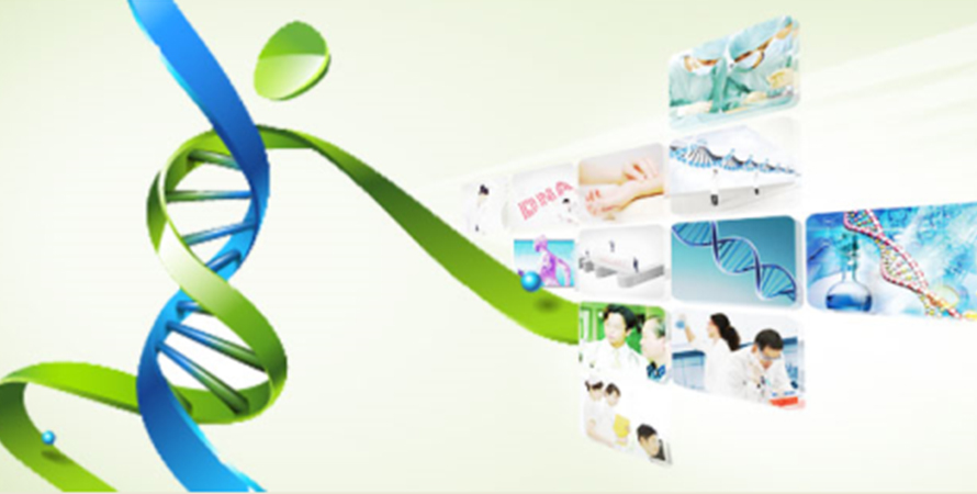 1540275860738559.jpg 222.jpg